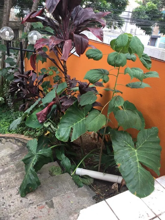 Homestay Maison Champs-Elysees Sao Paulo